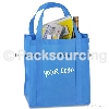 2011 newest ECO PP non woven bag