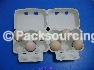 pulp egg box  6cavity
