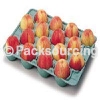 Paper Fruit Tray (Biodegradable Fruit Tray, Fruit Packaging)
