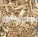 We Sell Wood Chip