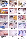 all types of plastic bags and packaging bags.