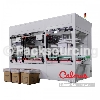 Poly Bag Inserter Machine for Placing Liner in Carton Box