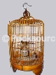 Set of 7 bird cages