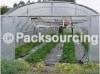 Agricultural film/Greenhouse Film/Plastic Film