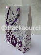 Promotion Shopping Paper Bag