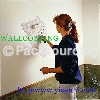Wall Art Decorative Material-Venetian Plaster